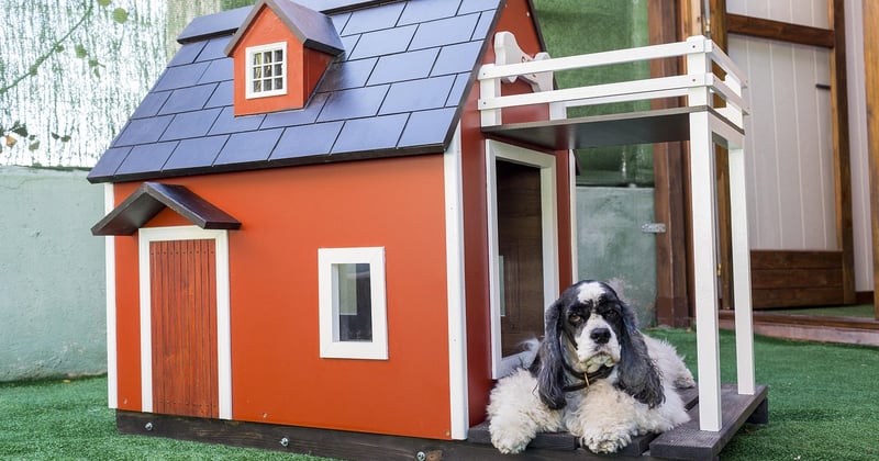 Maisons intelligentes en Poitou : les technologies innovantes qui transforment votre quotidien